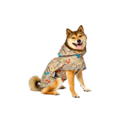 Kiegészítők kutyáknak