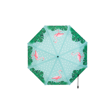 Regencollectie voor dames