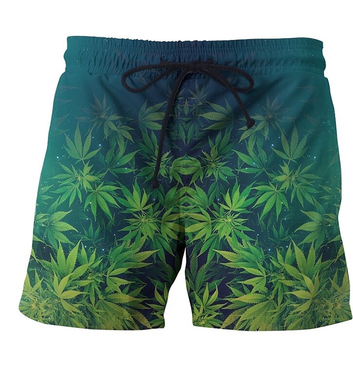 Шорты пляжные adidas allover Print