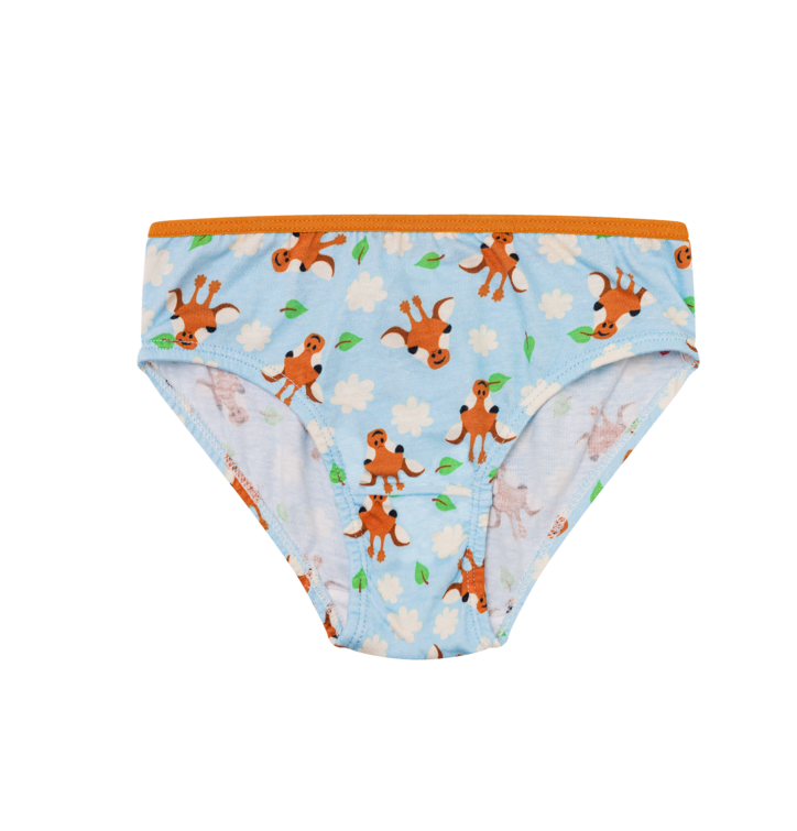 Vrolijke slips voor meisjes Schattige giraffe Dedoles