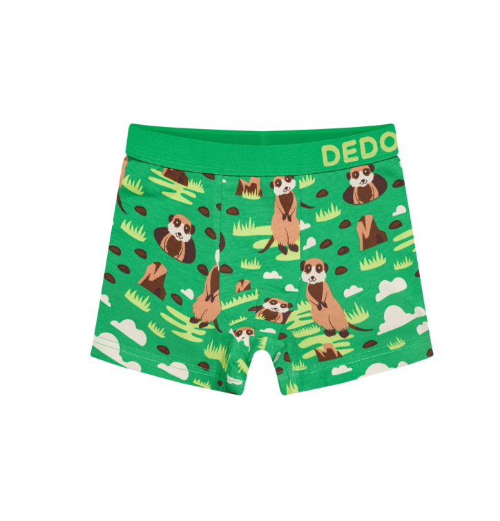 Dedoles  chlapčenské boxerky Surikaty Zelená