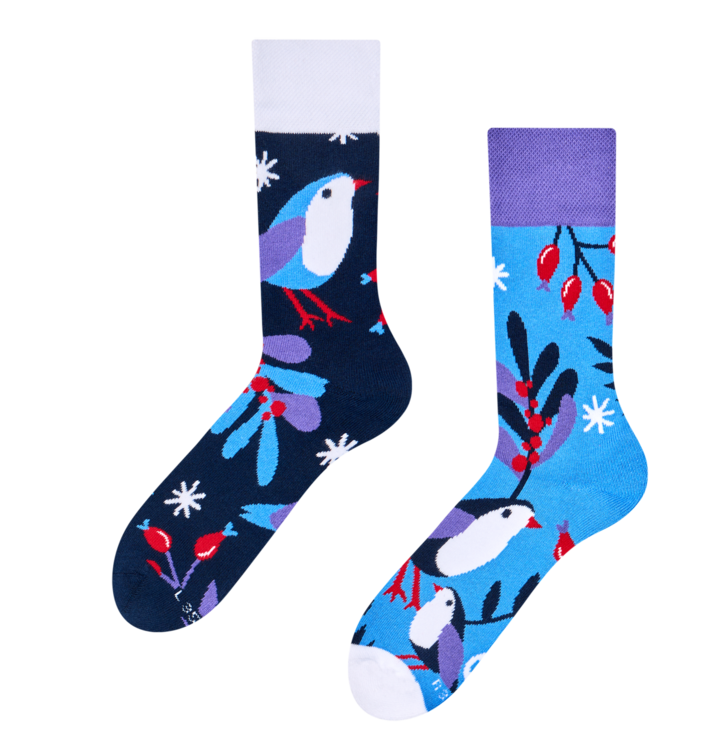 Dedoles Teplé ponožky Vtáčik v zime Modrá