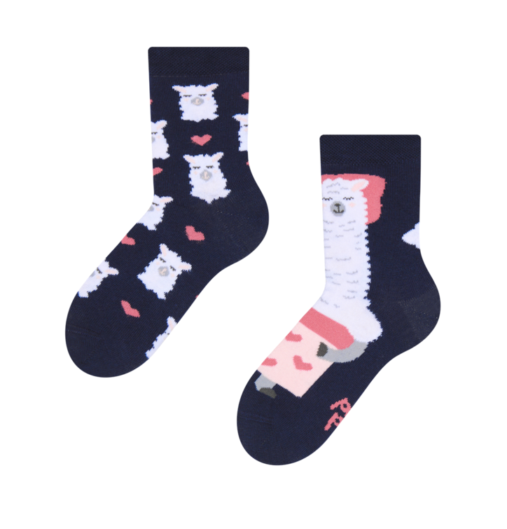 Dedoles  detské ponožky Spiaca lama Modrá