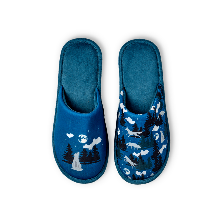 Dedoles  papuče Vlk a mesiac