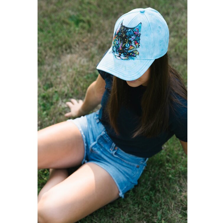 cat in baseball cap