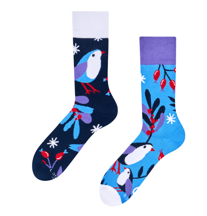 Ciepłe Skarpetki Zimowy ptak