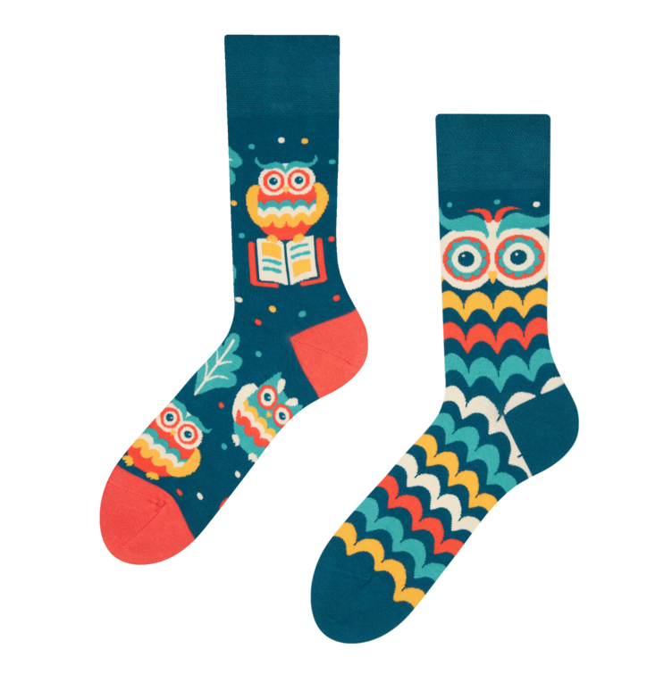 Wesołe skarpetki Mądra sowa