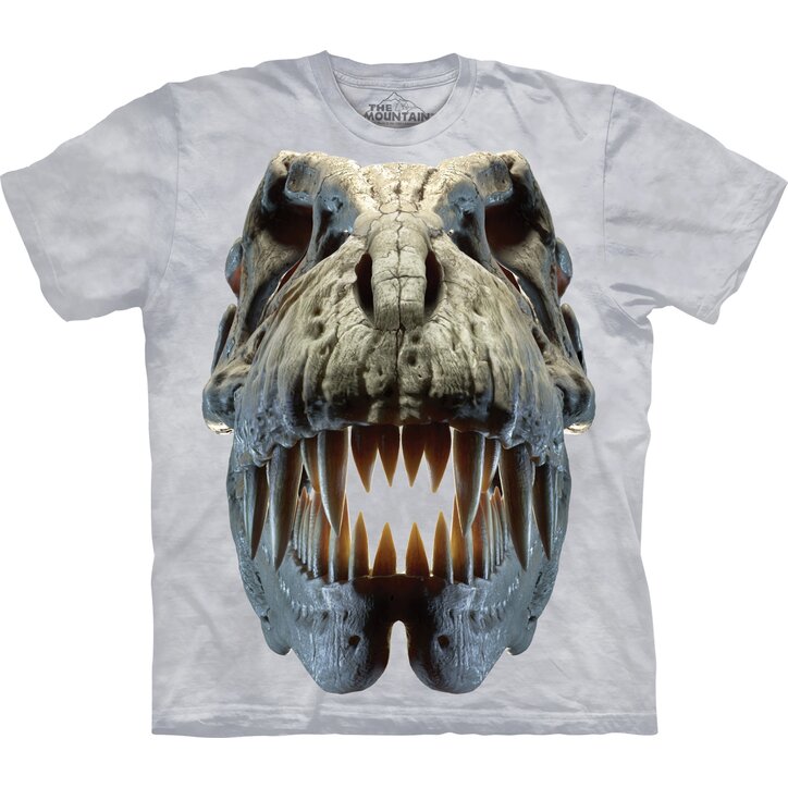 Kids 3d T Shirt Tyrannosaurus Rex Dedoles