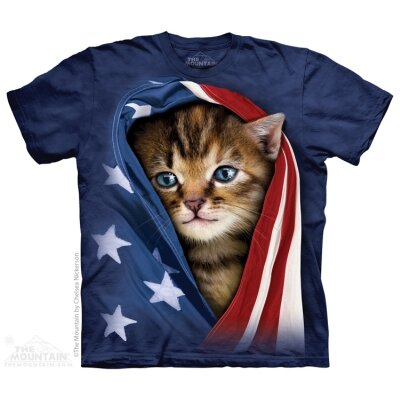 Americký kočička obrázky