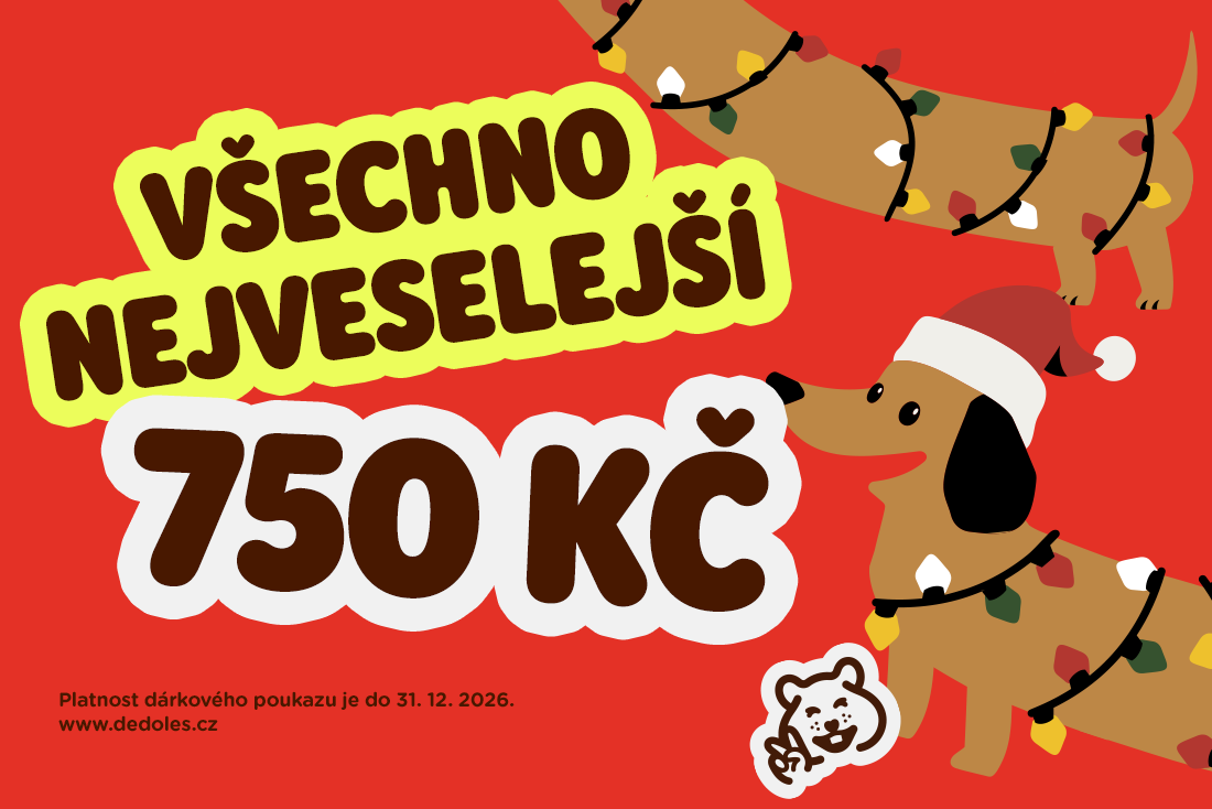 Výprodej Dárkový poukaz