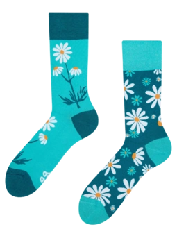 Chaussettes rigolotes Camomille
