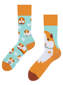 Veselé ponožky Morče