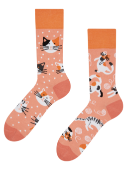 Regular Socks Playful Cats