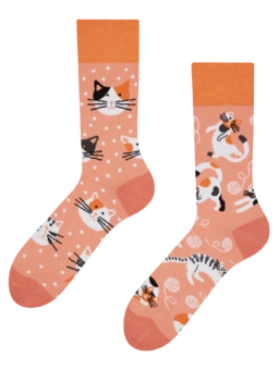 Chaussettes rigolotes Chats espiègles