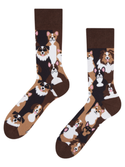 Vrolijke sokken Hondje