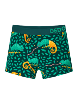 Veselé chlapčenské boxerky Chameleón na love