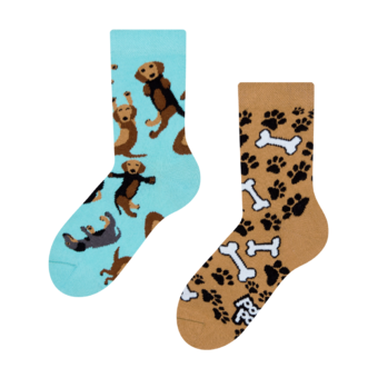 Veselé dětské ponožky Jezevčík