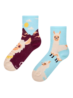Chaussettes mi-mollet rigolotes Alpaga