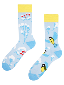 Veselé teplé ponožky Zimný vtáčik