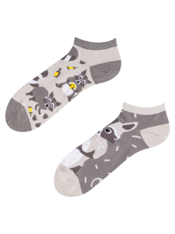 Socquettes rigolotes Raton laveur