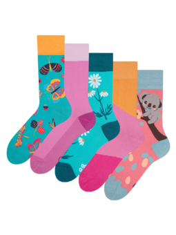 Lot de 5 paires de chaussettes rigolotes Enchantement