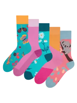Lot de 5 paires de chaussettes rigolotes Enchantement