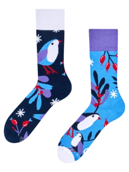 Teplé ponožky Ptáček v zimě