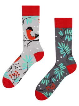 Chaussettes chaudes rigolotes Oiseau rouge