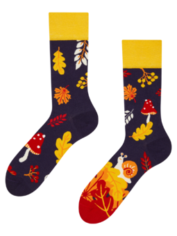 Veselé ponožky Jesenný slimák