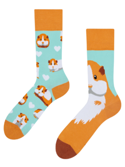 Chaussettes rigolotes Cochon d’Inde