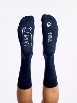 Chaussettes rigolotes Ne pas déranger