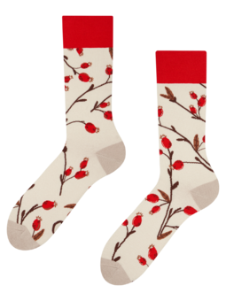 Veselé ponožky Šípky