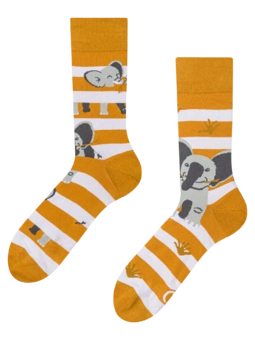 Chaussettes rigolotes Éléphant et rayures