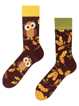 Chaussettes rigolotes Hibou curieux