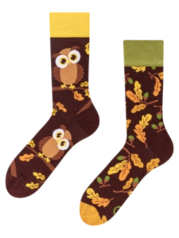 Chaussettes rigolotes Hibou curieux