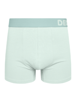 Boxer vert menthe pour hommes