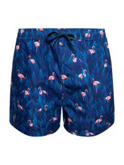 Men's Swim Shorts Night Flamingo