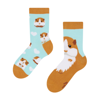 Veselé dětské ponožky Morče