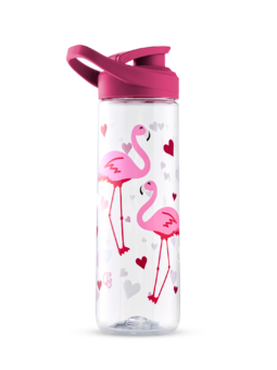 Gourde d’eau rigolote de 700 ml Cœurs et Flamants roses