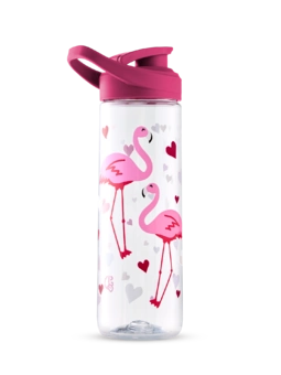Gourde d’eau rigolote de 700 ml Cœurs et Flamants roses
