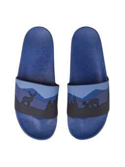 Slides Deer in Forest