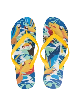 Tongs rigolotes Oiseaux tropicaux