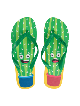 Flip Flops Funny Cactus