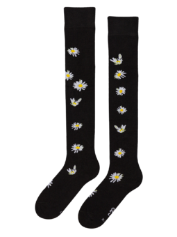 Chaussettes rigolotes hautes au-dessus des genoux Marguerites durant la nuit