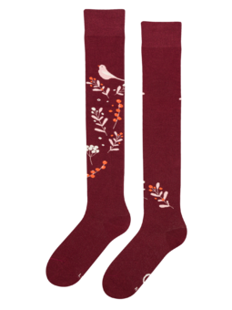 Chaussettes rigolotes hautes au-dessus des genoux Oiseaux et baies