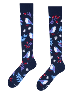 Mi-bas rigolos Oiseau d'hiver
