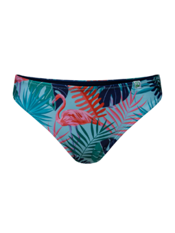 Bikini Briefs Wild Flamingo