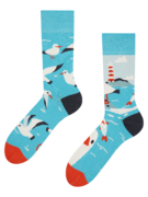 Veselé ponožky Racek