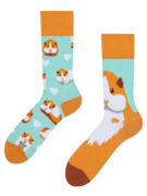 Chaussettes rigolotes Cochon d’Inde