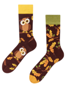 Chaussettes rigolotes Hibou curieux